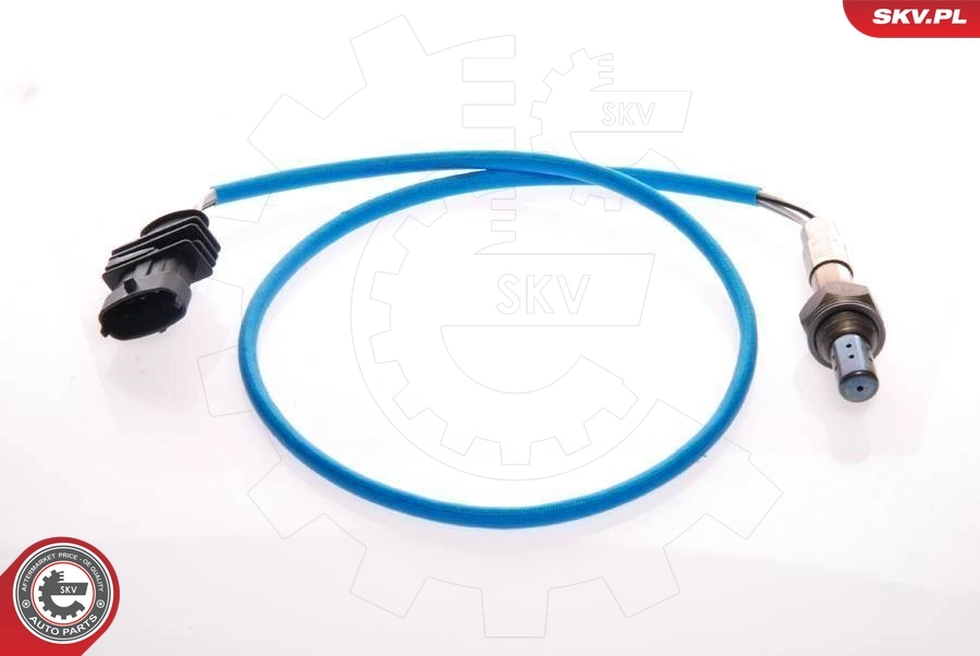 Oxygen Sensor